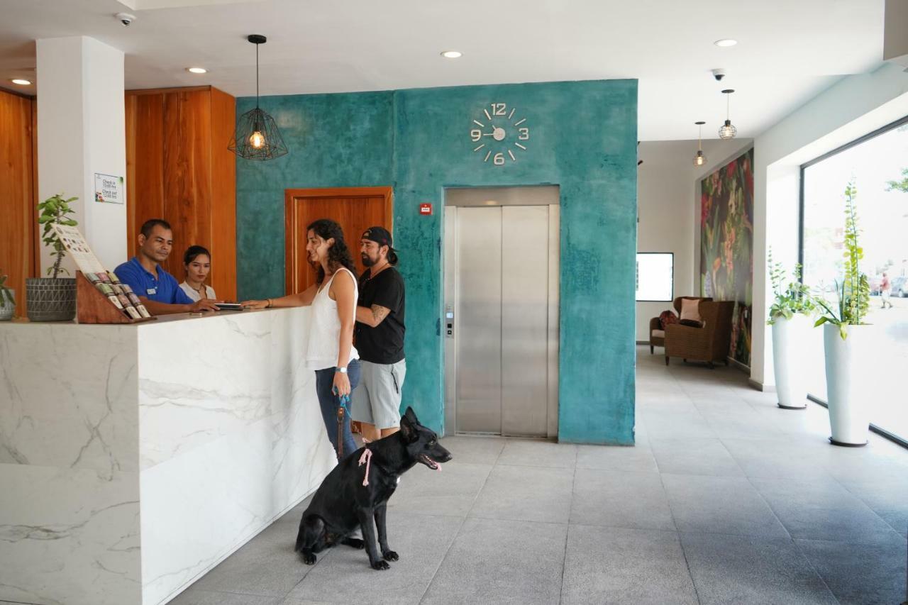 Hotel & Suites Arges - Centro Chetumal Eksteriør bilde